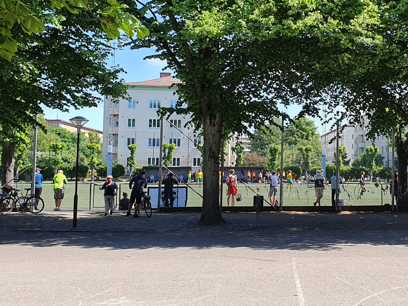 Människor som står under ett träd, vända mot ett stängsel och tittar på en fotbollsplan.