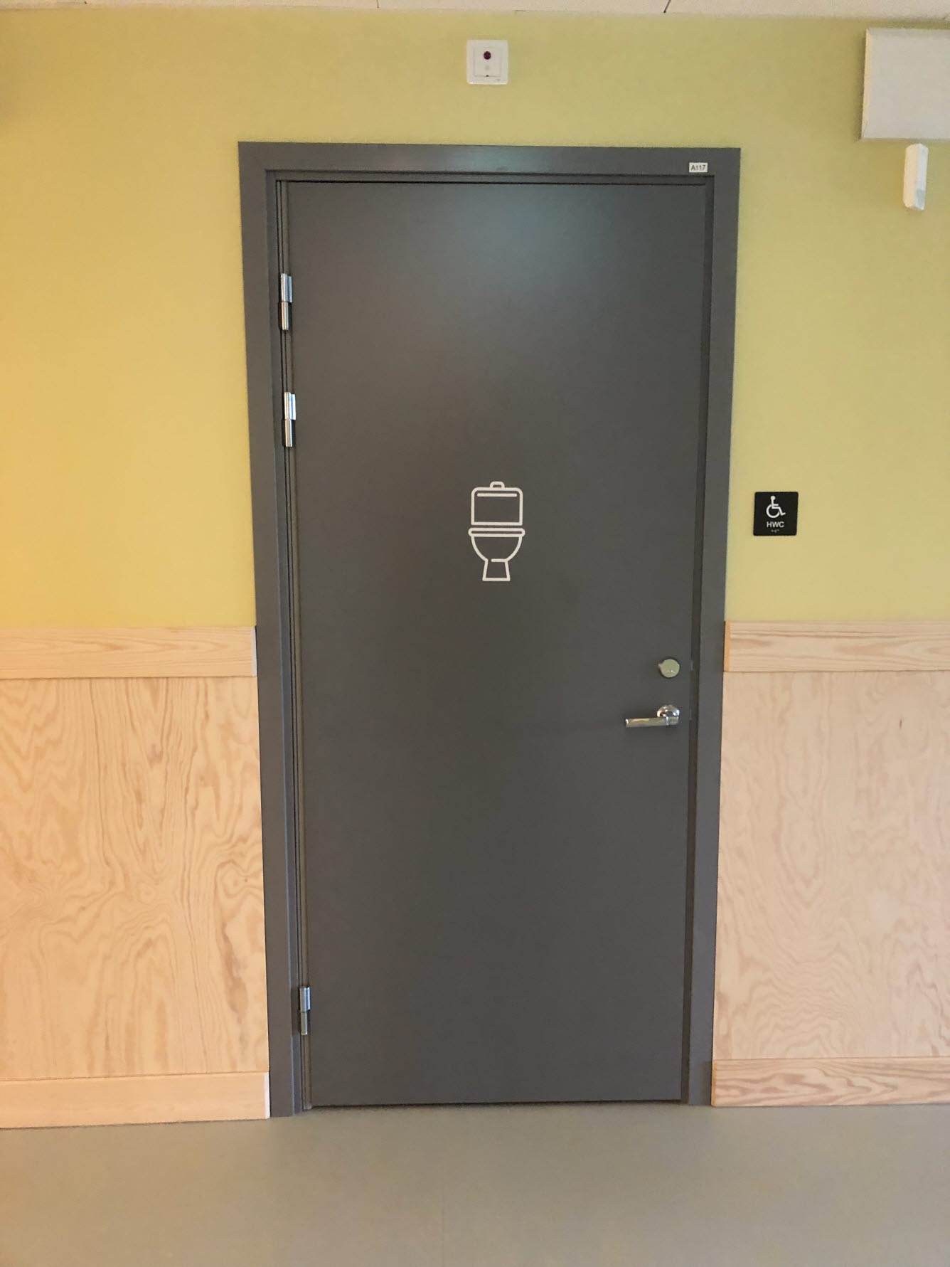 Mörkgrå toalettdörr med en vit toalettstol som symbol på dörren. Väggen är ljusgrön med en träfärgad bröstpanel.
