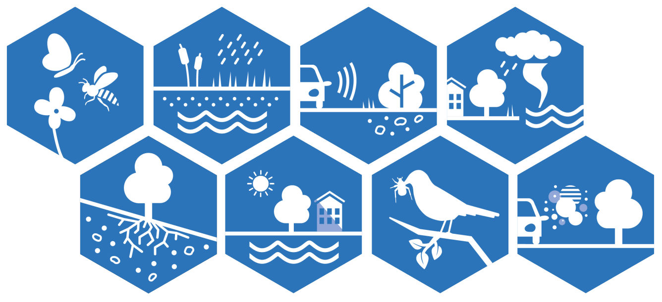 Åtta ikoner som illustrerar reglerande ekosystemtjänster.