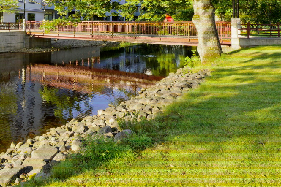 Grönska i stadsmiljö. Foto: Mikael Svensson /Scandinav