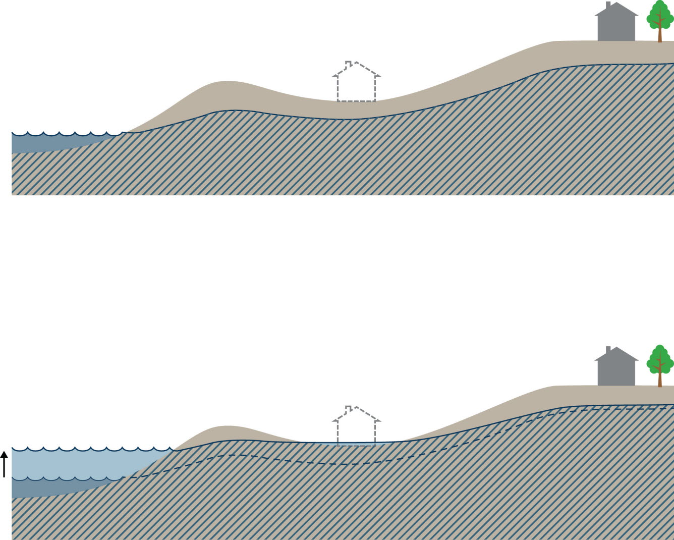 Bildsekvens (två bilder) med skiss av ett markområde vid en strand sett i genomskärning, grundvattnets utbredning i marken är markerad. Den övre bilden visar hur grundvattnets överyta ligger en bit under markytan i hela området, och vid strandkanten ligger grundvattenytan på samma nivå som vattenytan i havet eller sjön. Den nedre bilden visar hur grundvattnet påverkas av höjd vattennivå i havet eller sjön. Grundvattnet har då höjts i hela området, även om effekten avtar med ökande avstånd från stranden. I en svacka når grundvattenytan upp över markytan vilket leder till översvämning av ett hus som ligger där. Illustration: Boverket / Altefur Development