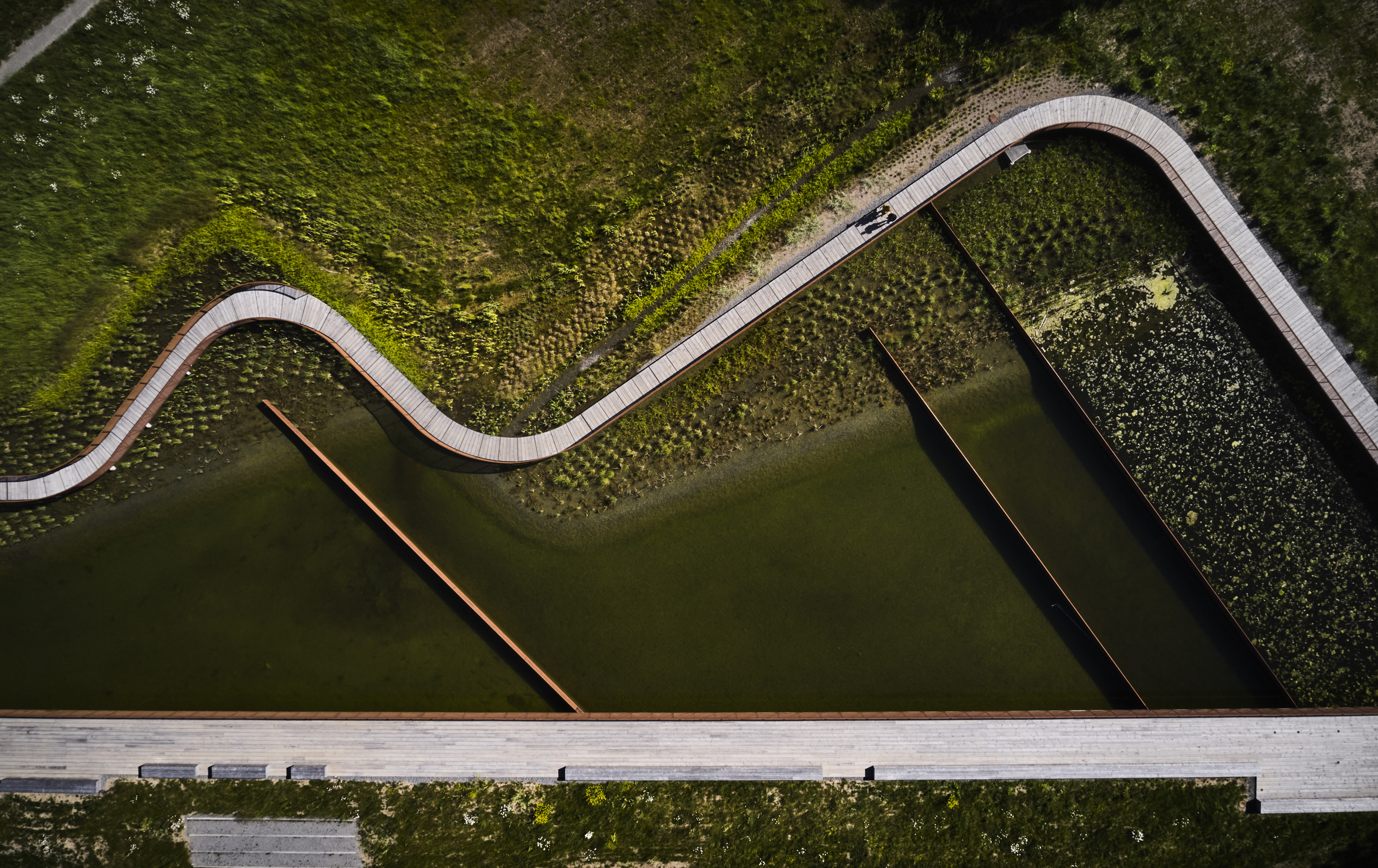 Flygbild över en slingrande träspång som går genom ett våtmarksområde med vatten och vegetation.