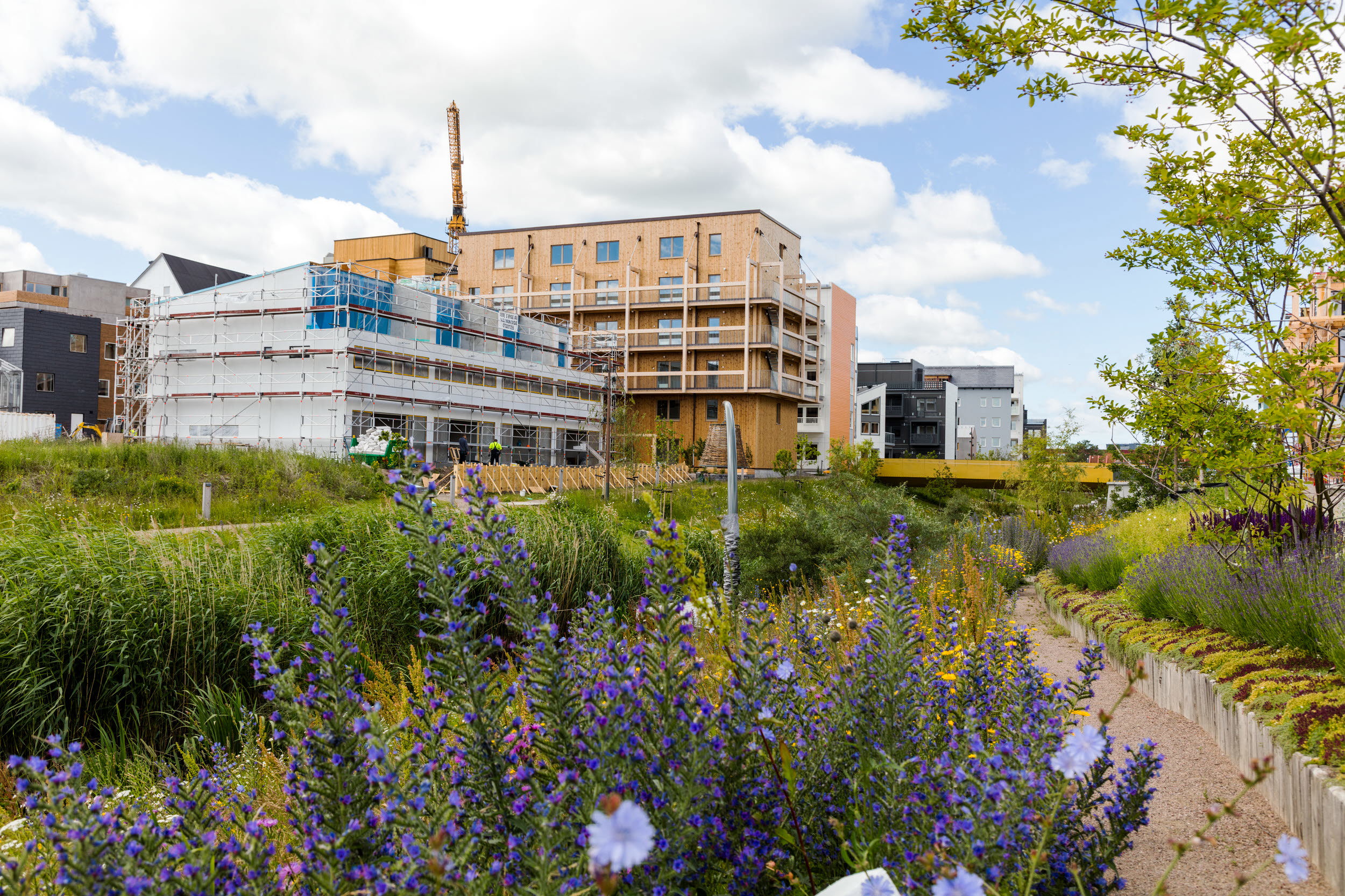 Foto över nybyggnation av flerbostadshus med grönområde. 
