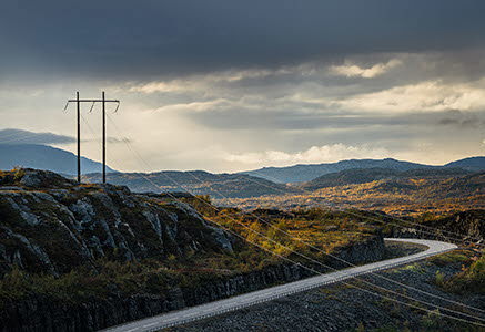 Foto av elstolpar i bergigt landskap.