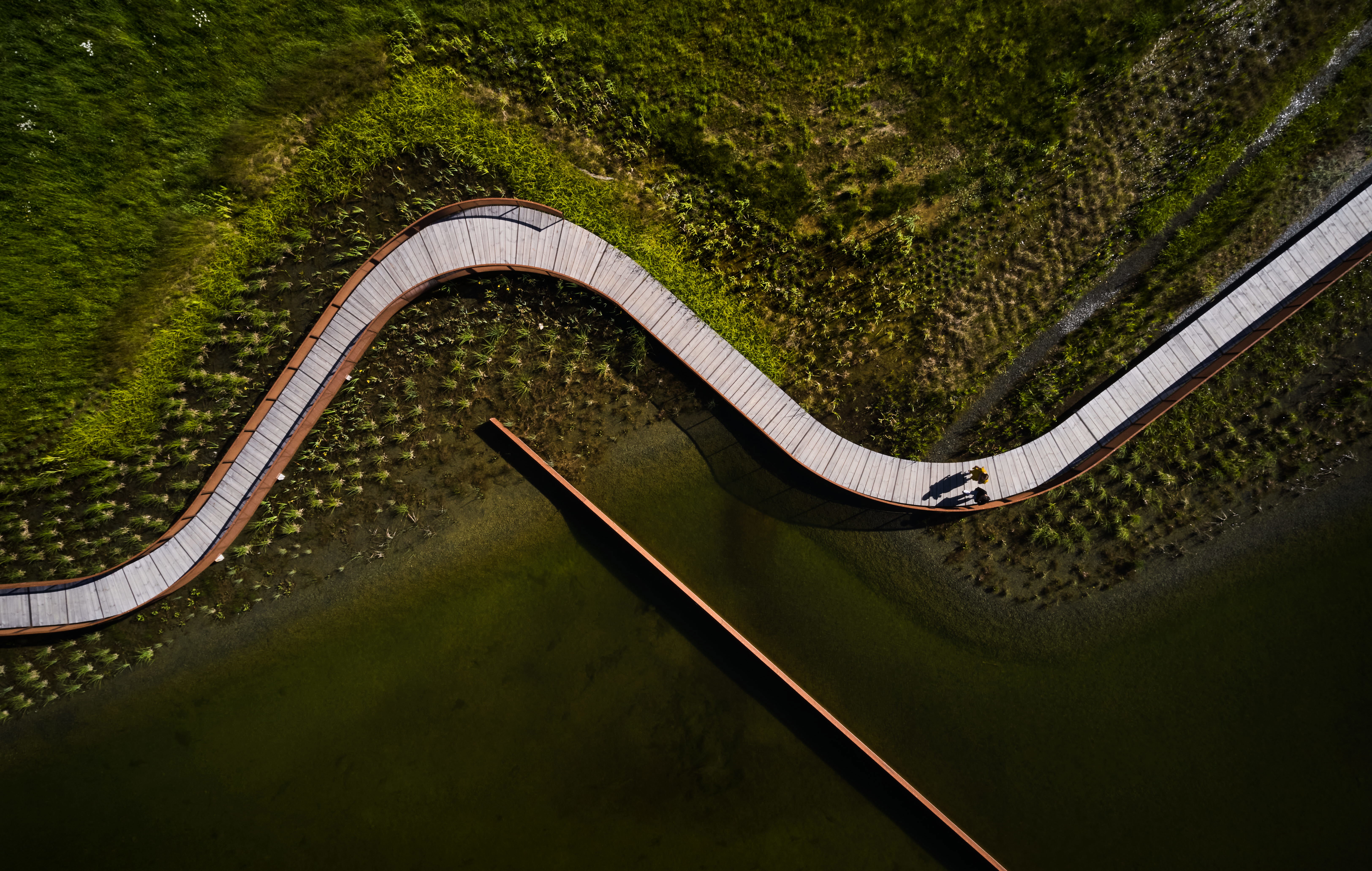 Slingrande gångväg över dagvattendamm.