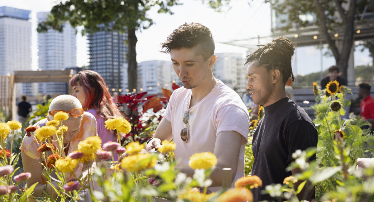 Flera personer tar hand om blommor i en stadsmiljö. 