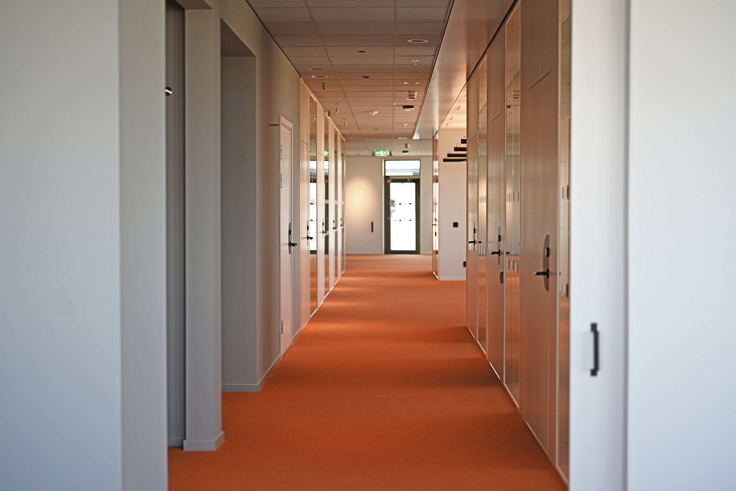 En korridor med kontorsrum.