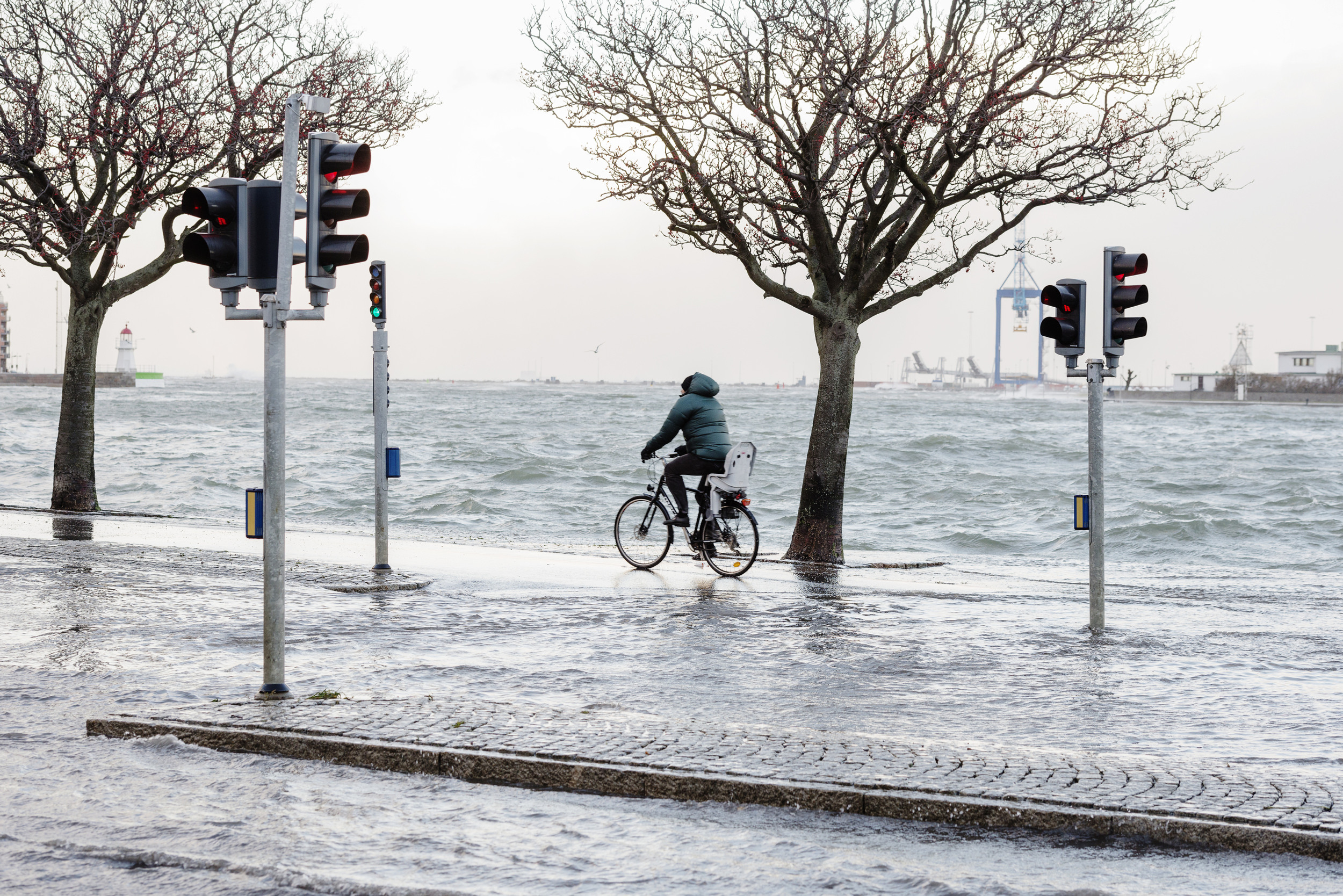 En person cyklar i en allè intill ett oroligt hav. Foto: Lars Owesson/Scandinav
