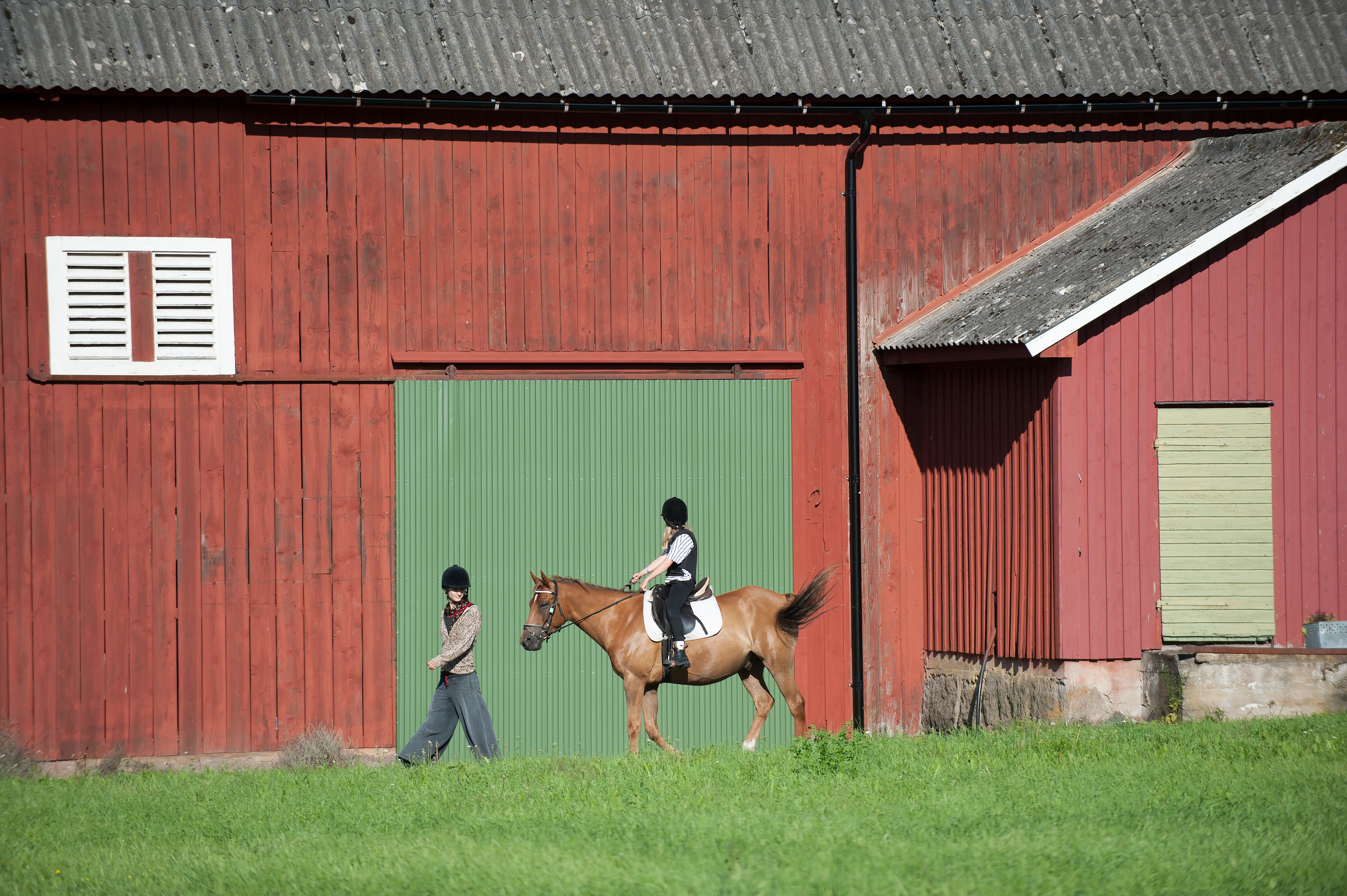 Flicka rider på en häst vi en röd ladugård. Person går bredvid hästen.