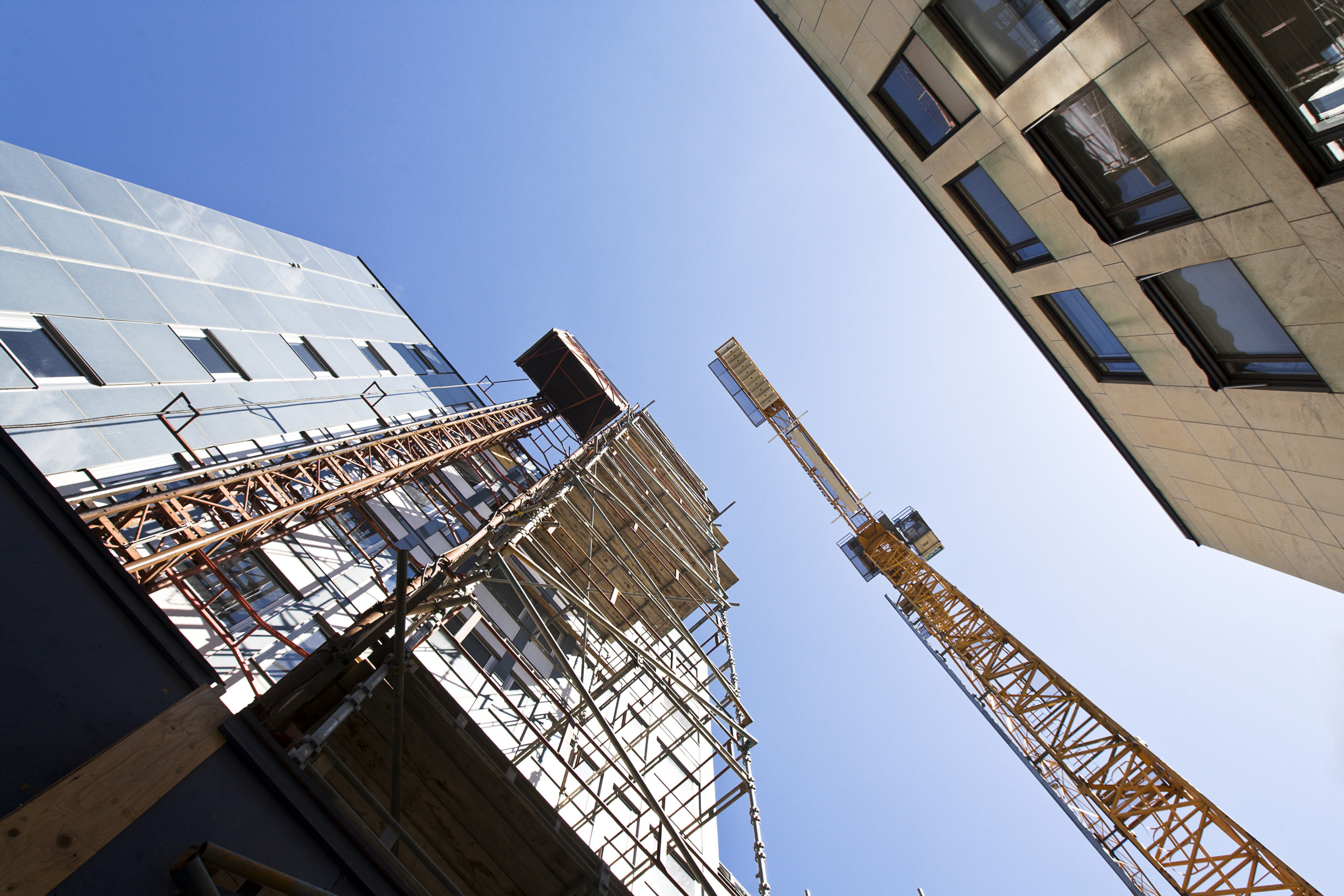 Foto med byggnader och byggkranar sett underifrån mot himlen.