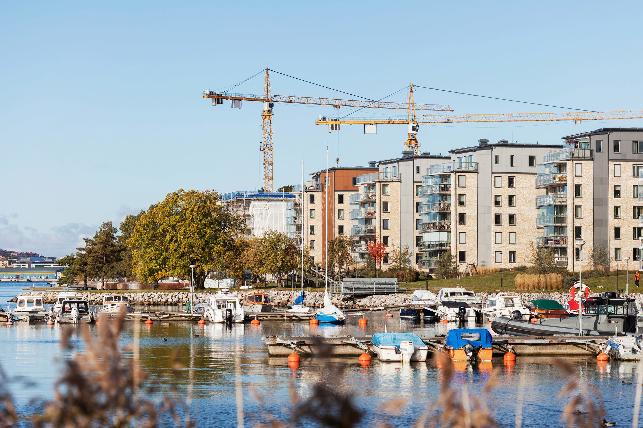 Byggkranar över bostadsområde. Foto:Scandinav/ Marie Linnér.