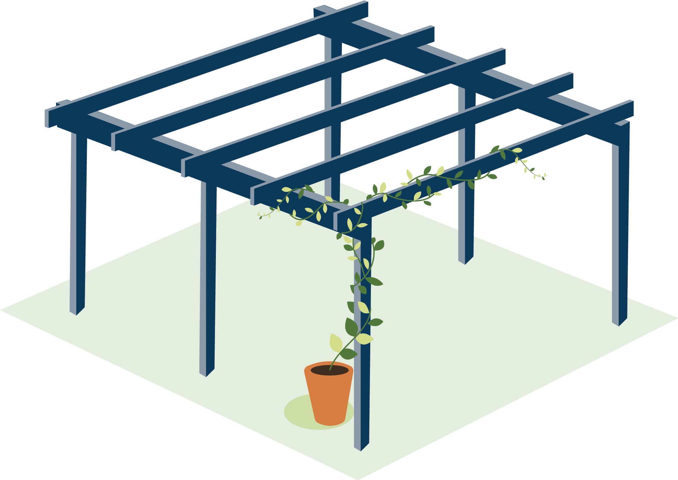 Illustration av en pergola med klätterväxt som slingrar sig längs de stående stolpar och ovantill glest placerade takbjälkar.
