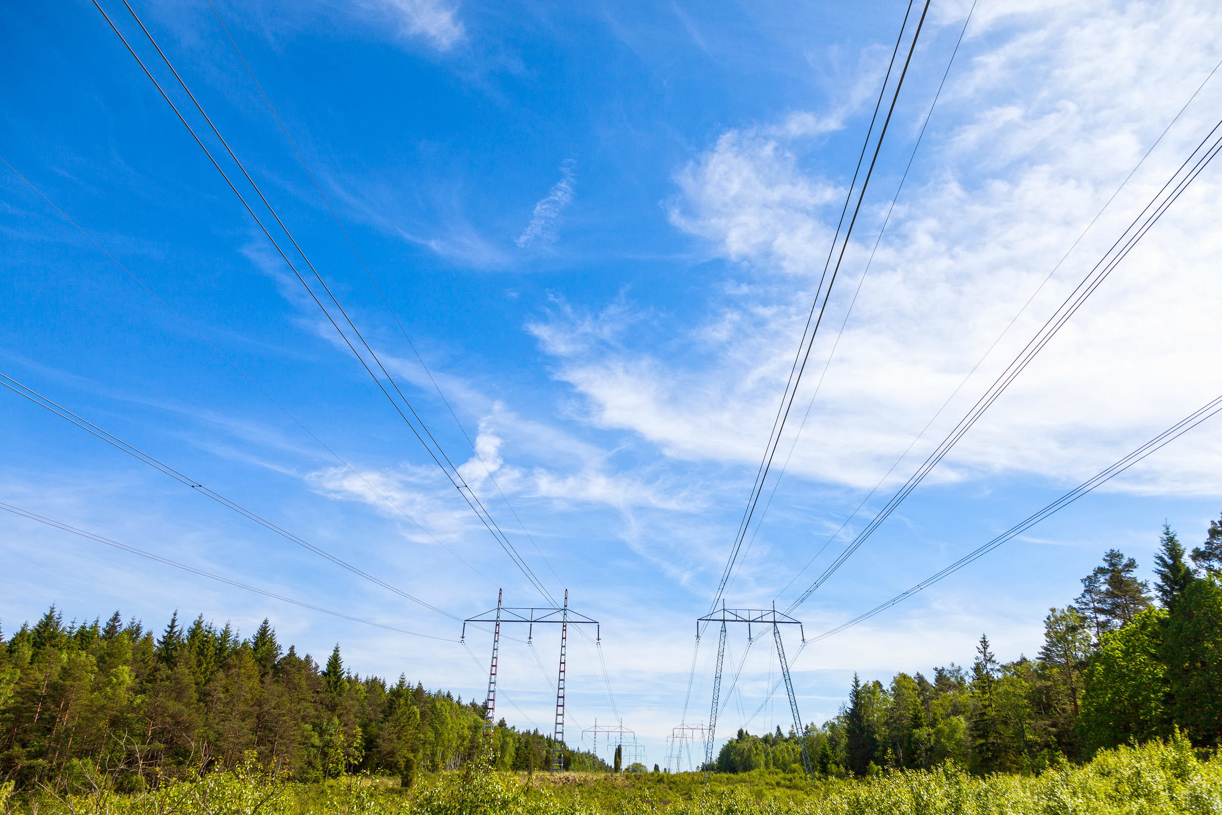 Parallella kraftledningar i skogsmiljö.
