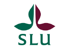 Sveriges lantbruksuniversitets logo.
