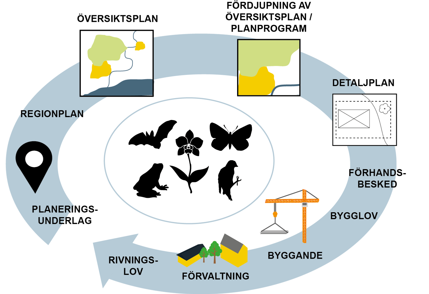 Illustration av samhällsplaneringsprocessen, med fåglar och växter som illustrerar artskyddet i mitten