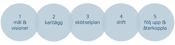 Process för förvaltning