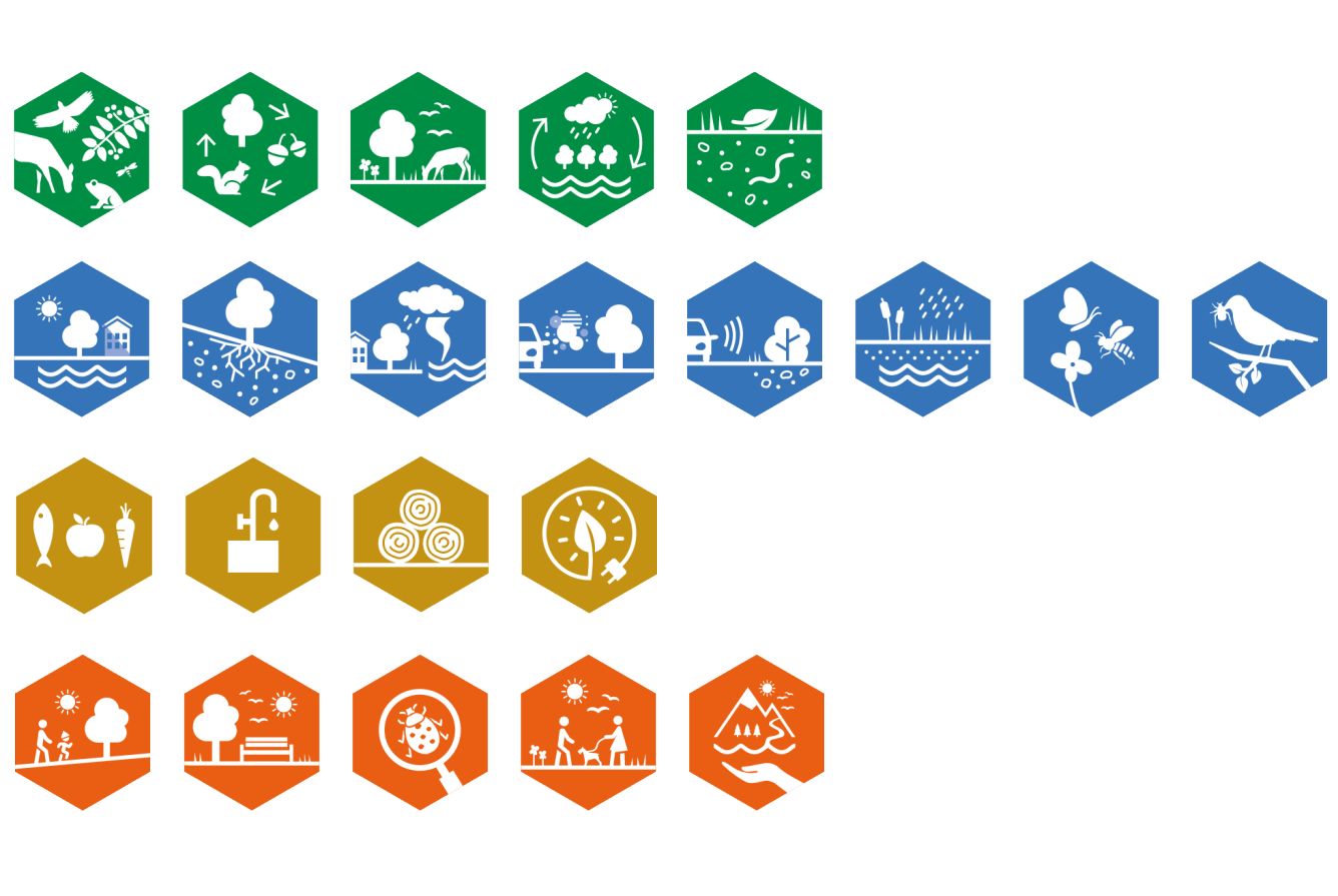 22 ikoner för ekosystemtjänster.