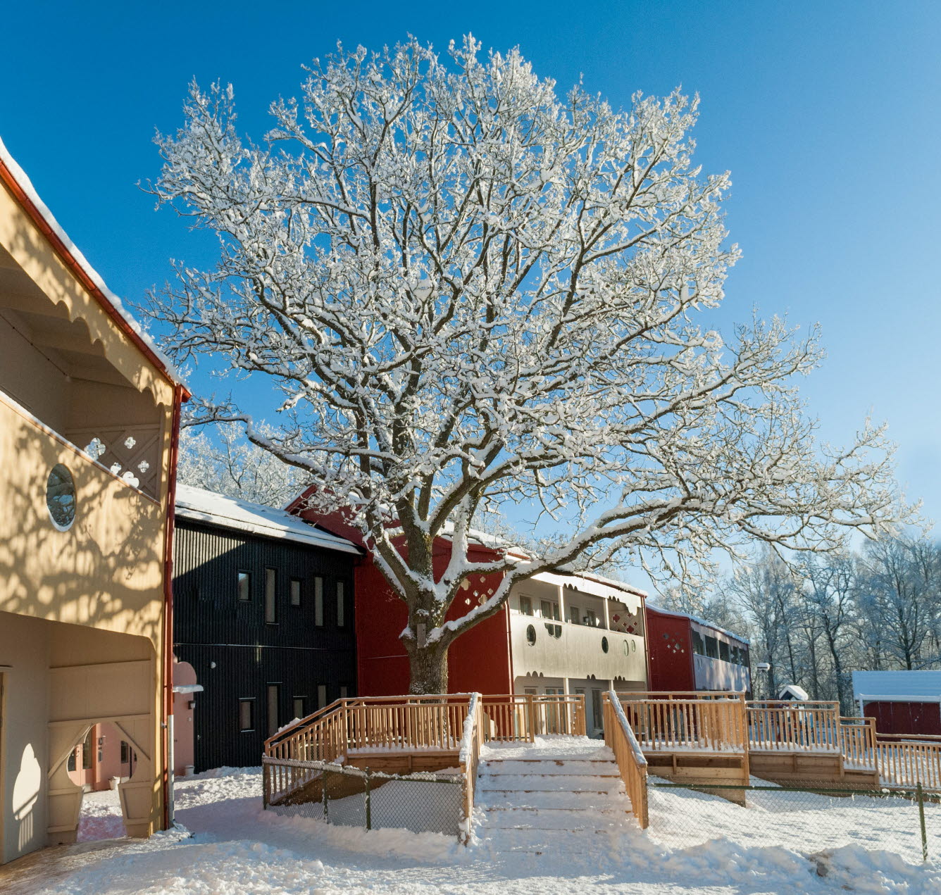 Stort träd med snö på grenarna. Vid trädet finns ett trädäck som även det är täckt av snö.