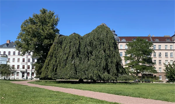 Magistratsparken i Malmö med en stor hängbok som dominerar bilden.