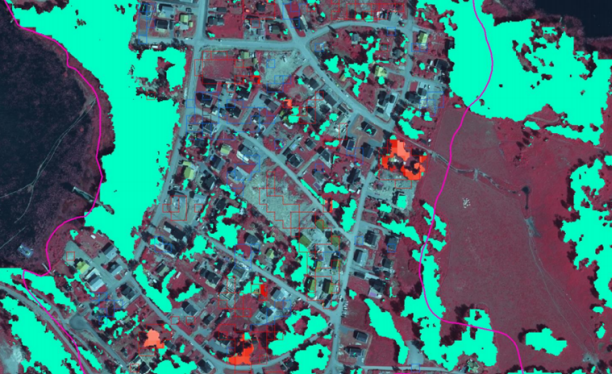 Bilden visar ett utsnitt med karterad trädtäckning (grönt) 2019 och förändringar från 2020 (röda och blå vektorer).