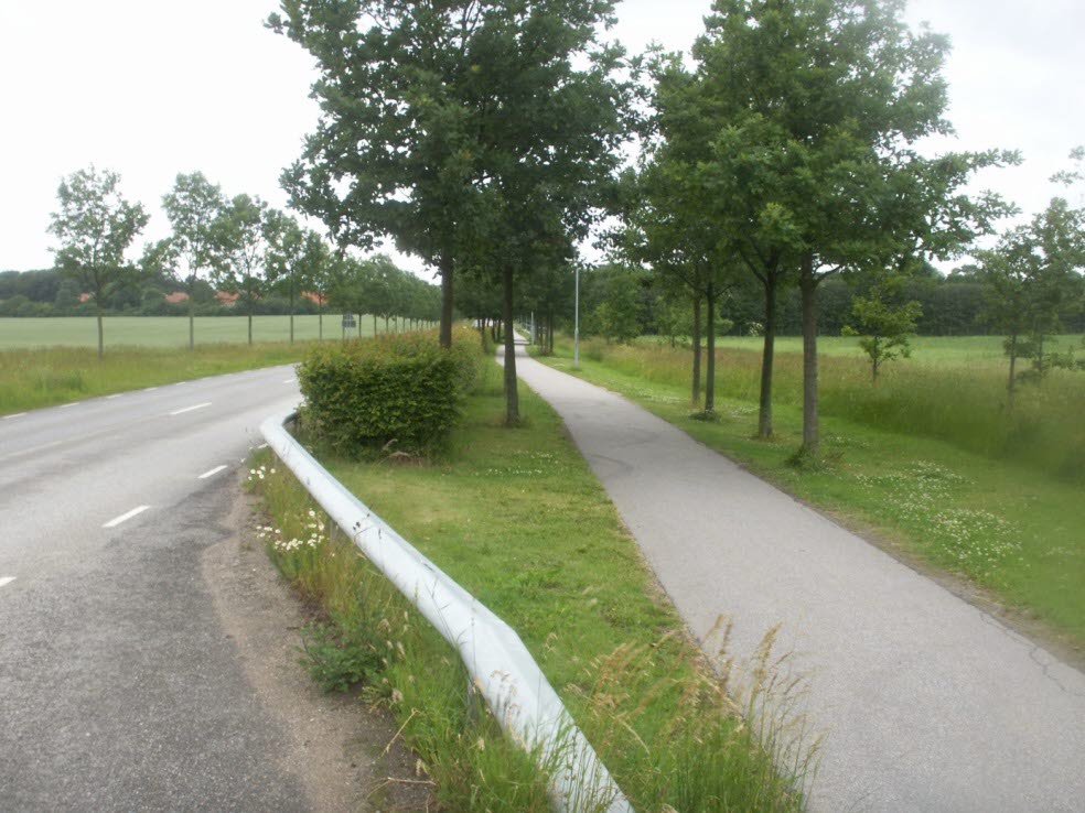 Asfalterad cykelväg som skyddas mot vinden av lövträd och en häck.