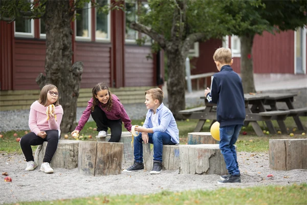 Fyra barn som sitter och står vid stubbar och har sin fruktstund.