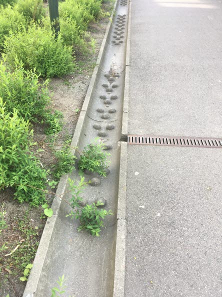 Grunt dike i betong som delar av plantering med gröna buskar och gångvägen med syfte att leda bort vatten.