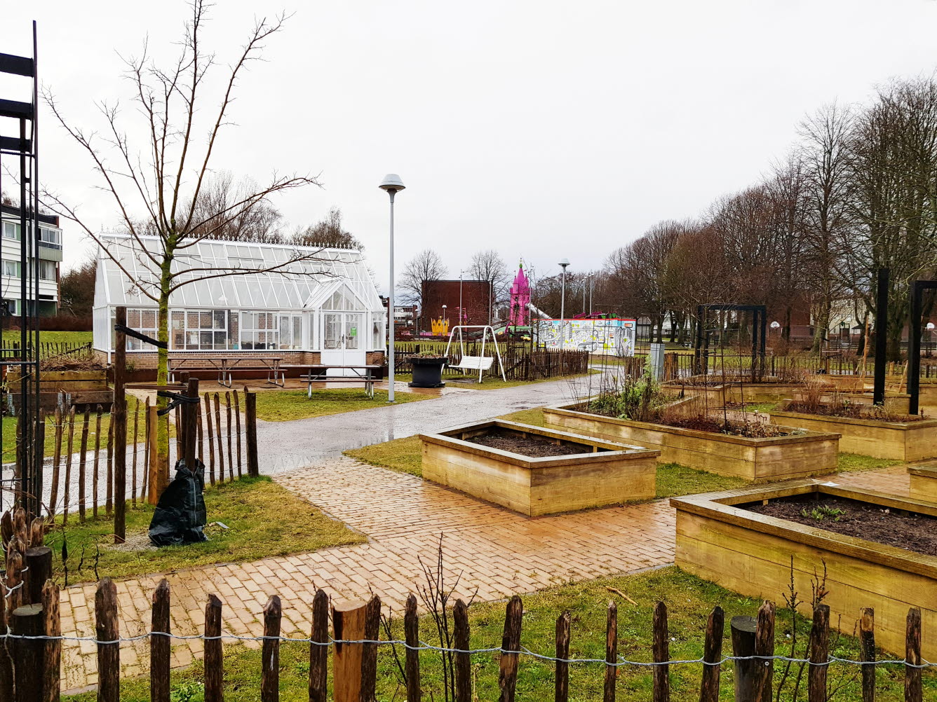 Bilden visar odlingslotter i bostadsområdet Drottninghög i Helsingborg.