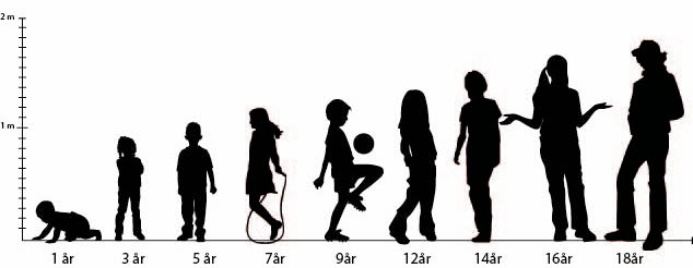Illustration som visar människans fysiska utveckling från 1 till 18 år.