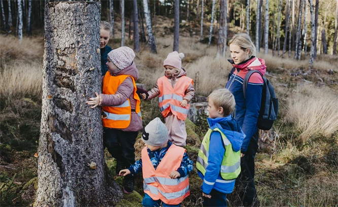 Barn i reflexvästar i skogen som kramar ett träd.
