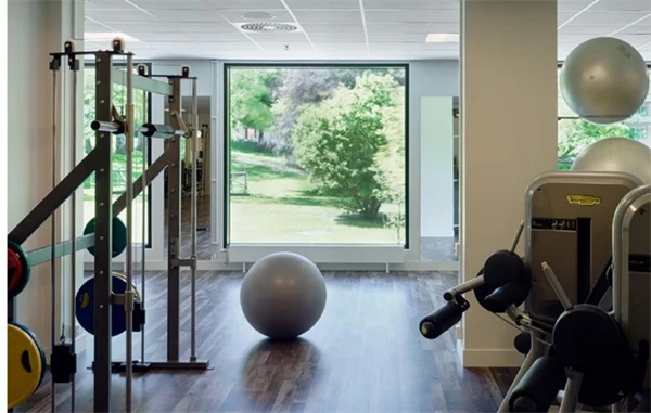 Foto i ett gym med maskiner och pilatesboll. I bakgrunden finns ett stort fönster över grönamiljö utanför.