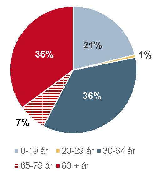 Pajdiagram som visar förväntad befolkningsökning 2019-2030, fördelad på åldersgrupper
