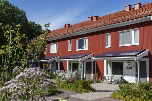 Röda radhus med växtlighet framför.