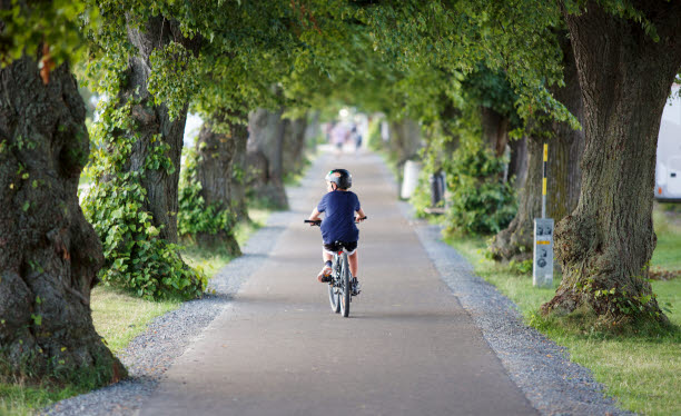 Foto på barn som cyklar i en allé.