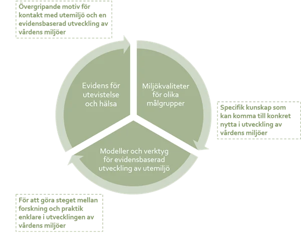 Schematisk illustration i form av ett cirkeldiagram som visar olika typer av evidens.
