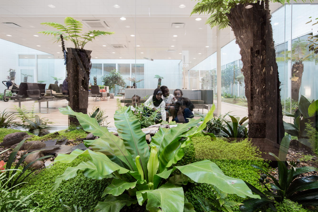 Foto som visar palmer och gröna växter i ett väntrum.