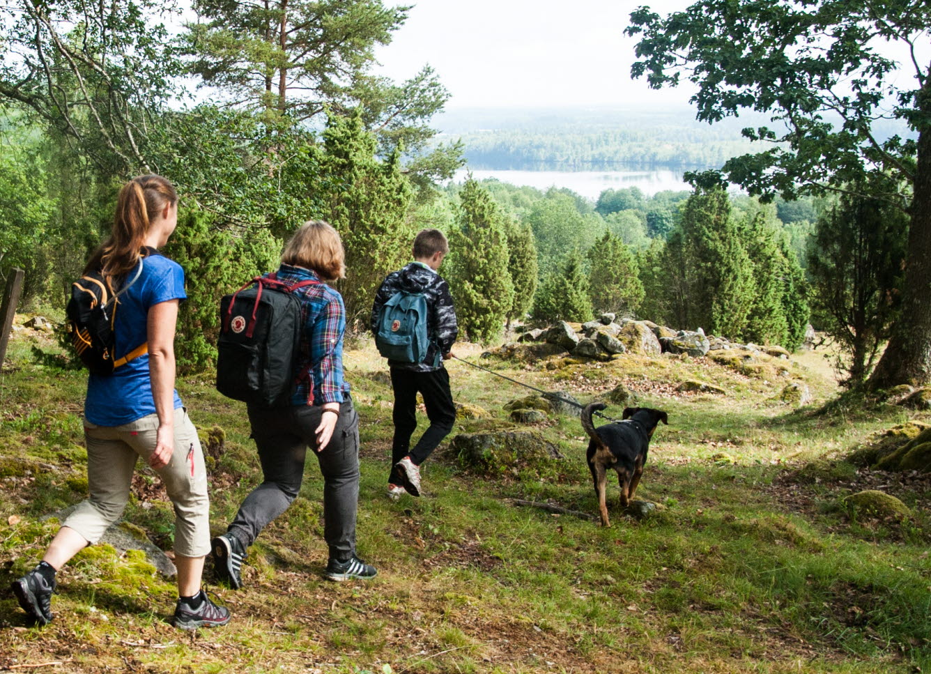 Barn med ryggsäckar och en hund som går i skogen.