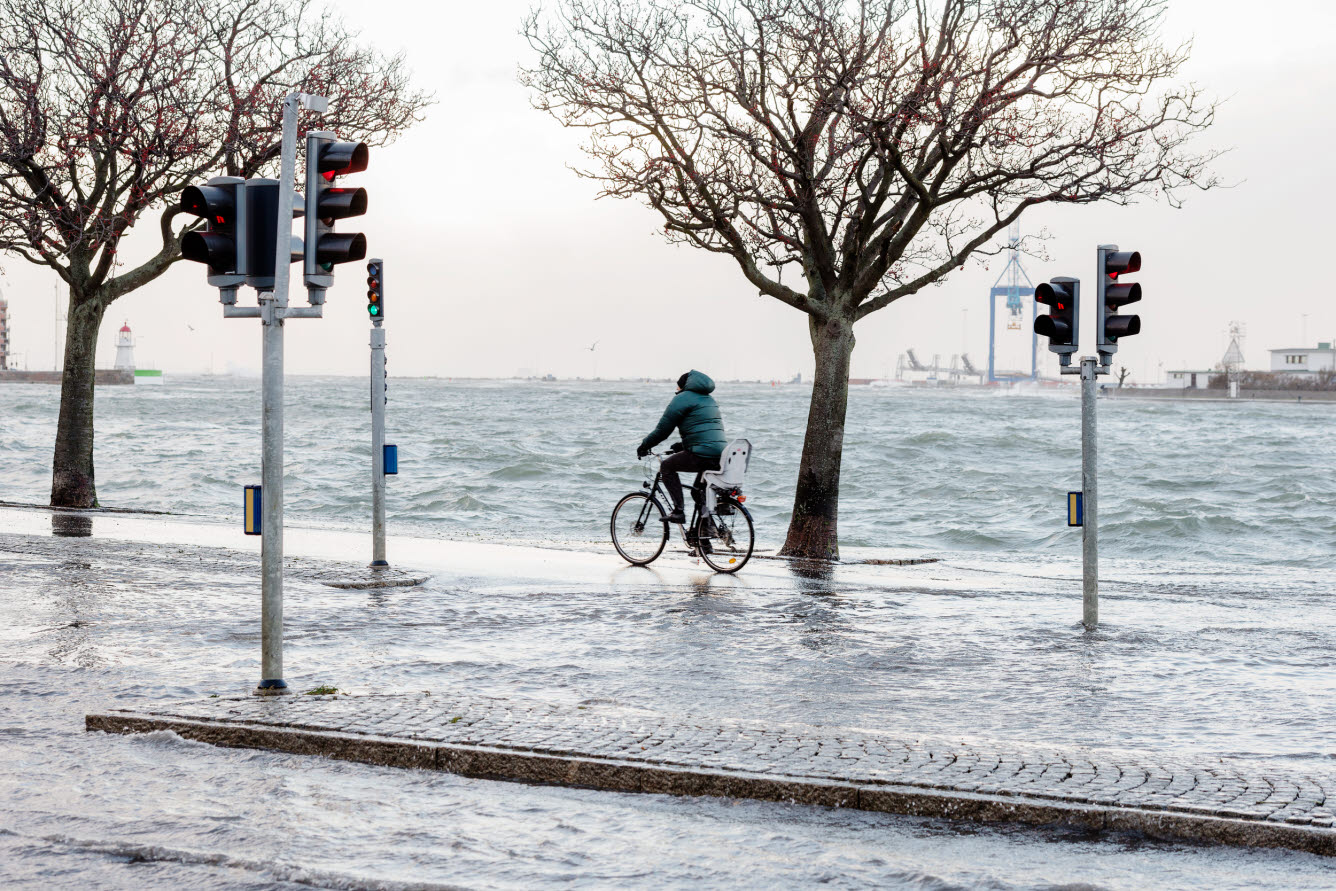Cyklist på cykelväg där havsnivån stigit till samma nivå som cykelbanan