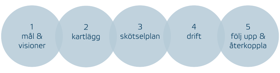 Process för förvaltning