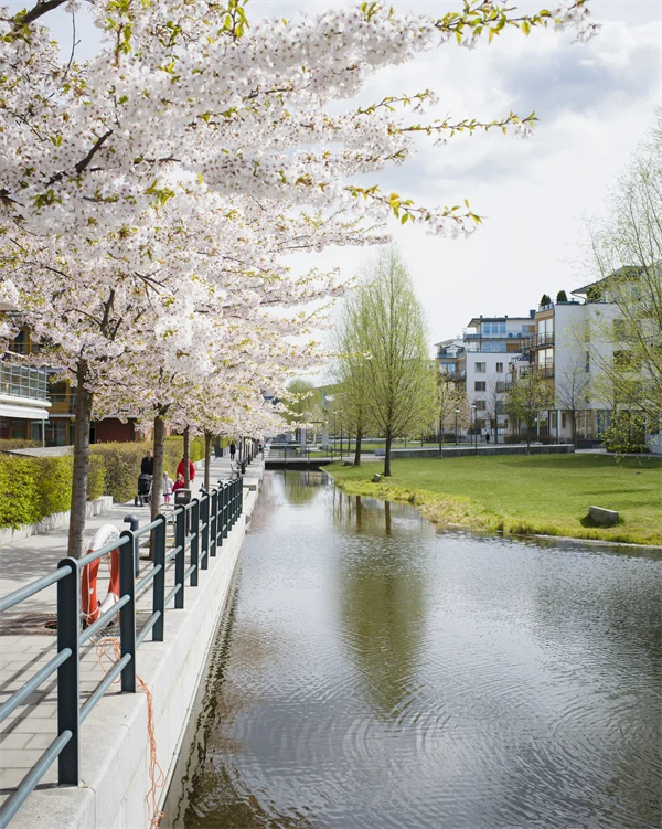 Bostadshus i Stockholm med vatten framför.
