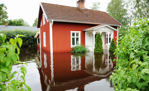 Översvämmat rött torp.