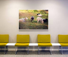 Foto på väntrum med tavla på väggen med naturmotiv.
