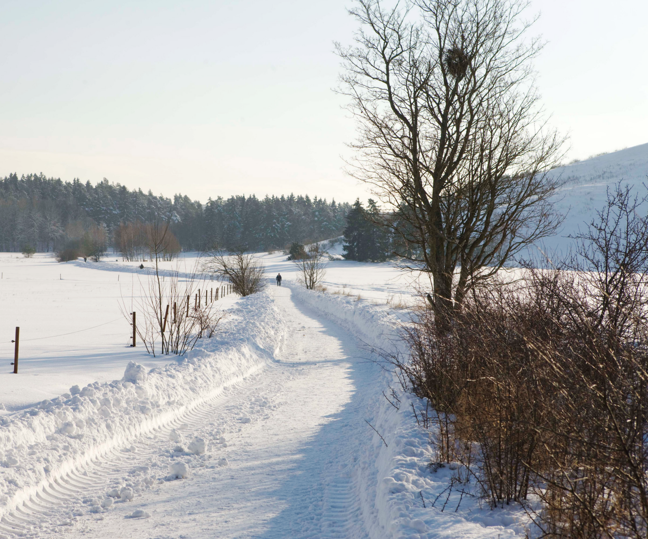 Järvafältet i vinterskrud.
