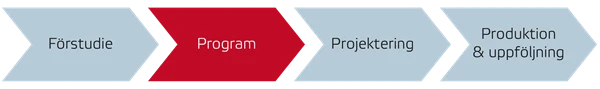 Program i processen