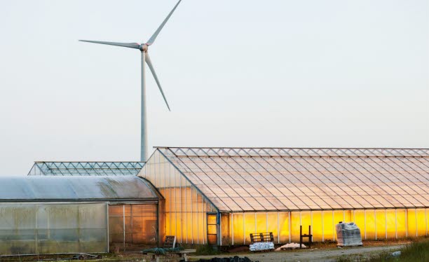 Vindkraft för egenproducerad el. Foto: Scandinav Bildbyrå