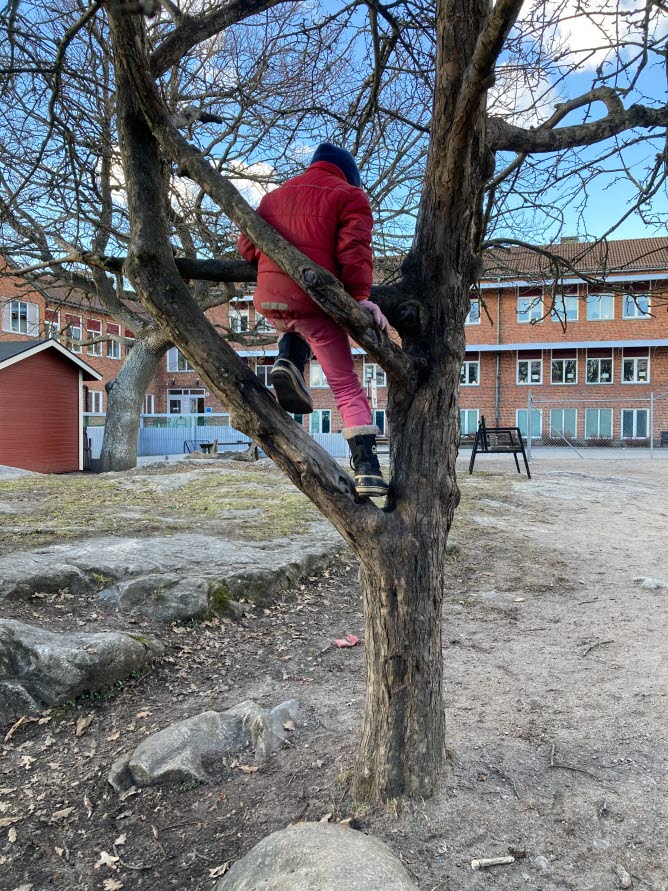 Barn som sitter i ett klätterträd på en tom skolgård framför en skola.