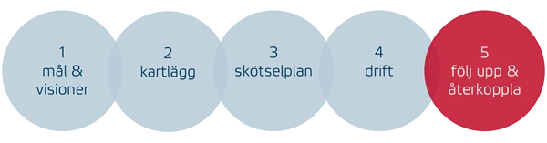 Förlj upp och återkoppla