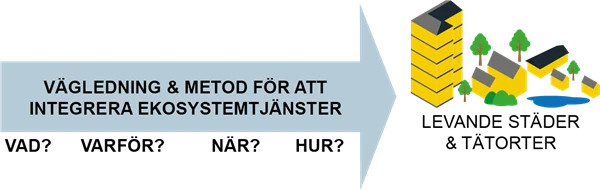Illustration vägledning och & metod för ekosystemtjänster