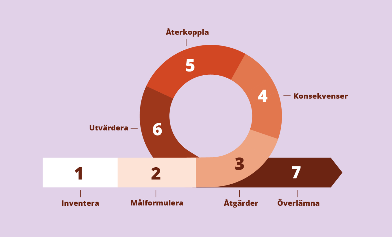 Övergripande processbild för arbetet med sociala frågor i planering.