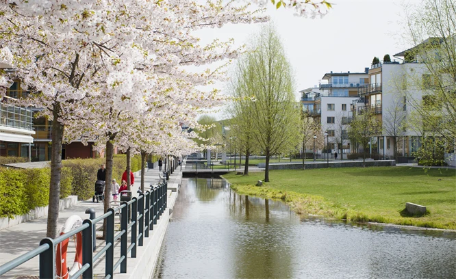 Vy från ett vattenområde i Stockholm.